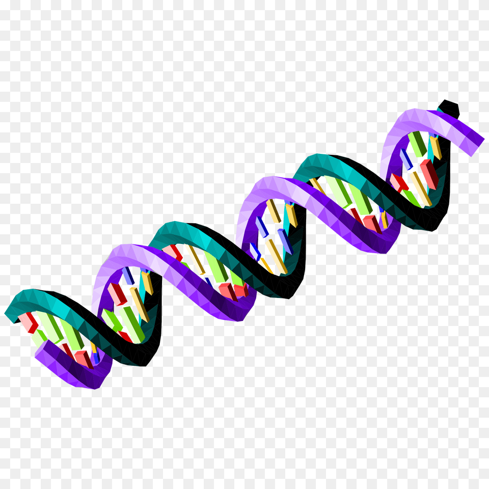Double Stranded Dna Sequence, Crayon, Dynamite, Weapon Free Png Download