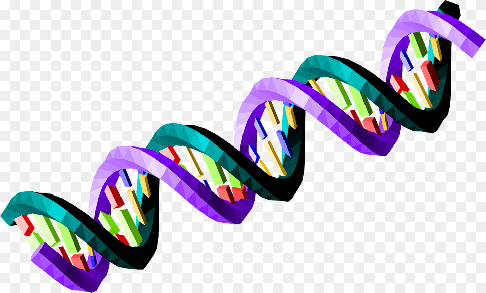 Double Stranded Dna Sequence Clipart, Art, Coil, Graphics, Spiral Free Transparent Png
