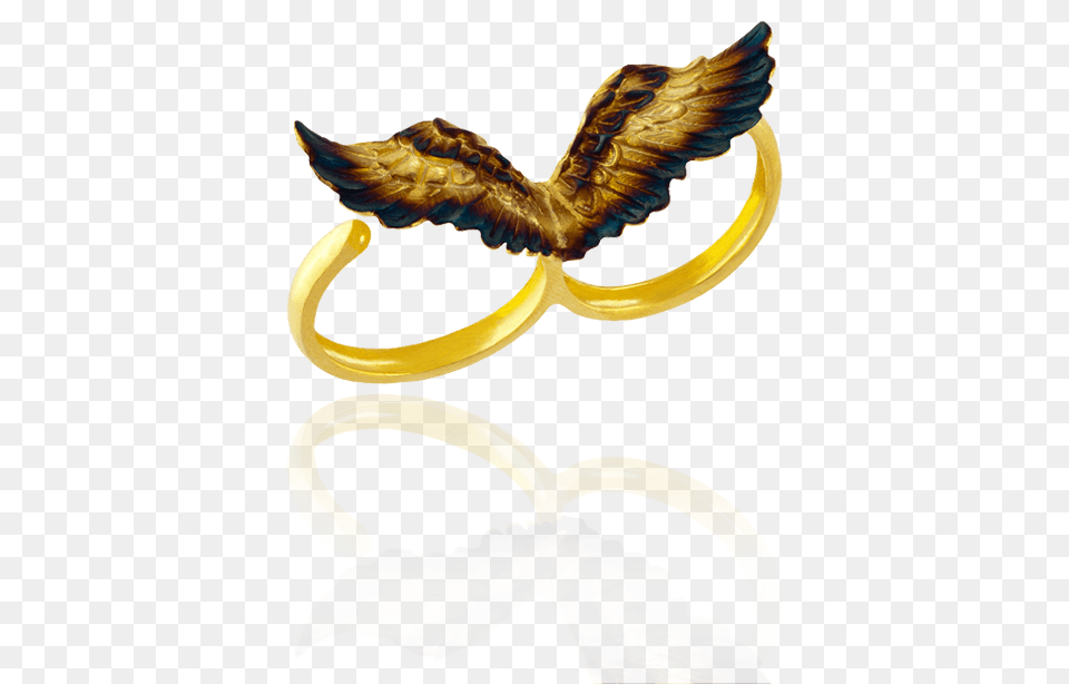 Double Wing Ring With Ember Detail Illustration, Accessories, Jewelry, Animal, Bird Free Png Download