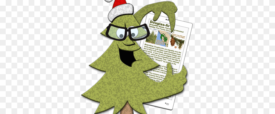 Doug Fir Christmas Tree, Leaf, Plant, Publication, Baby Free Png