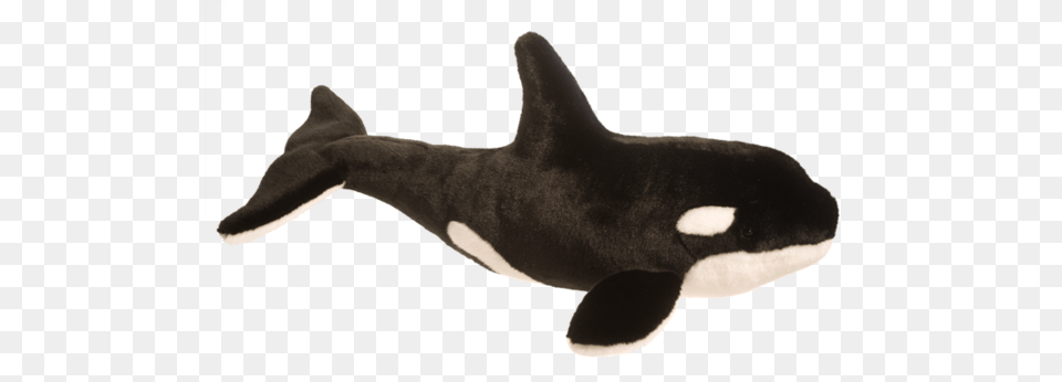 Douglas Balena Orca Whale Stuffed Animal Killer Whale Stuffed Animal, Mammal, Sea Life, Fish, Shark Free Png Download