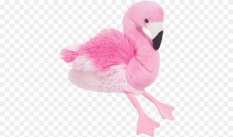 Douglas Cotton Candy Flamingo Flamingo Stuffed Animal, Bird, Toy Free Png Download