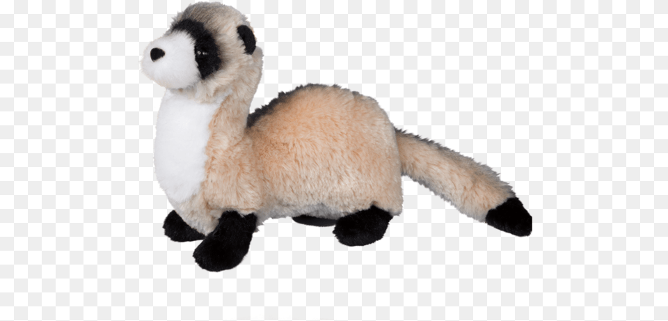 Douglas Dapper Ferret Ferret Stuffed Animal, Mammal, Wildlife, Bear Png
