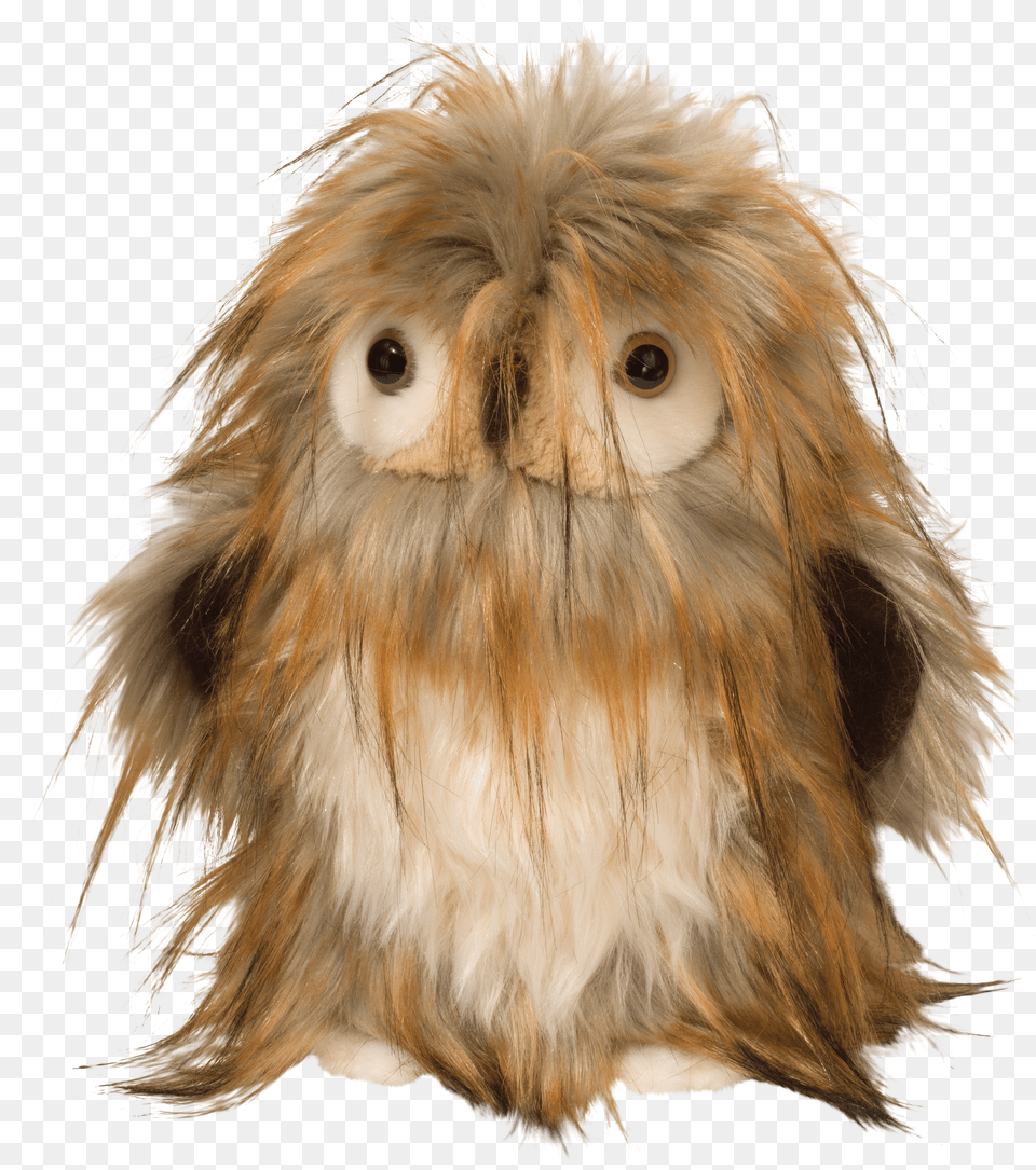 Douglas Janis Owl Free Png