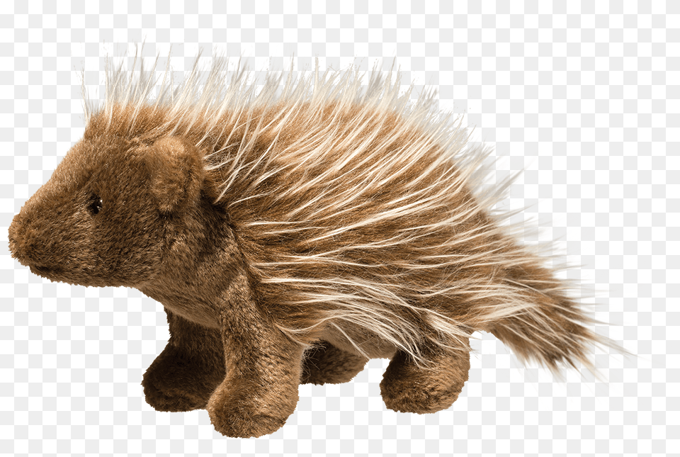 Douglas Percy Porcupine Percy Porcupine, Animal, Mammal, Rodent, Hedgehog Free Transparent Png