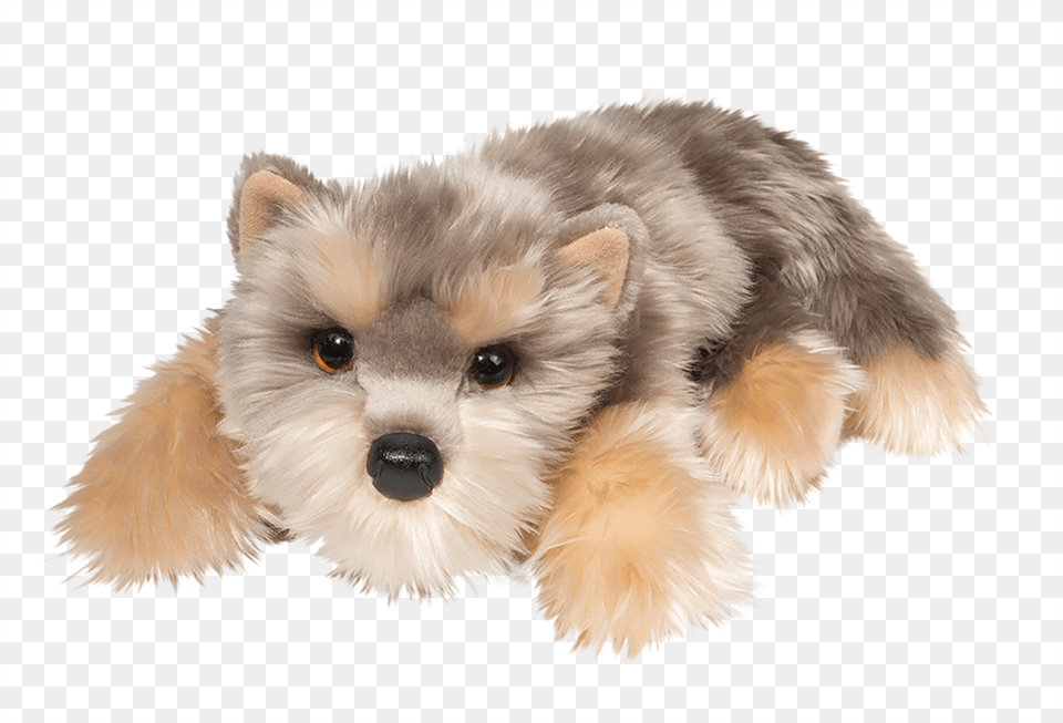 Douglas Toys Graham Yorkie Dog Laying Down, Animal, Canine, Mammal, Pet Png