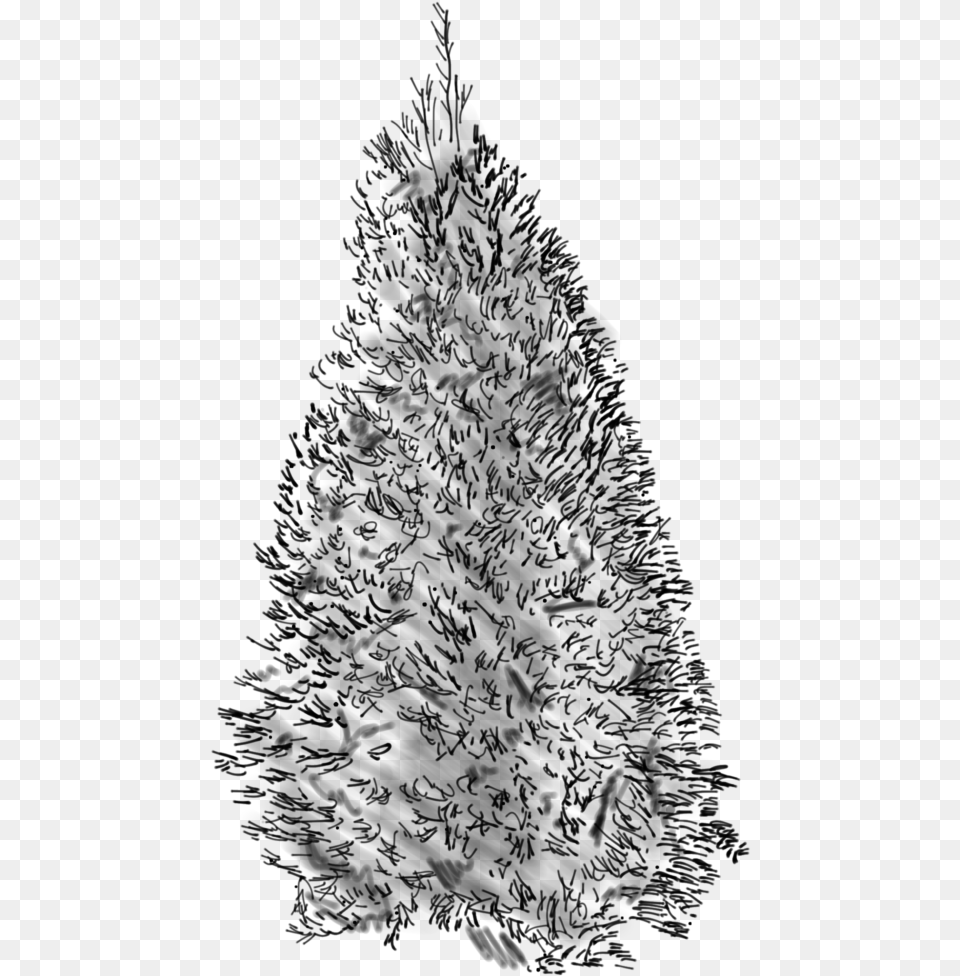 Douglass Fir Sketch Christmas Tree, Gray Free Png