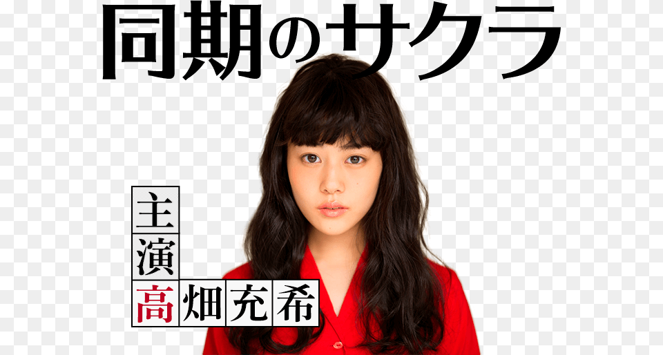 Douki No Sakura Drama, Adult, Portrait, Photography, Person Free Png Download