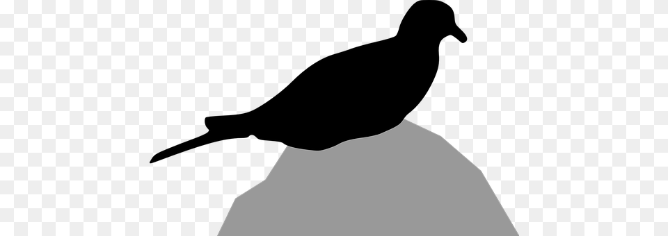 Dove Silhouette, Photography Free Png