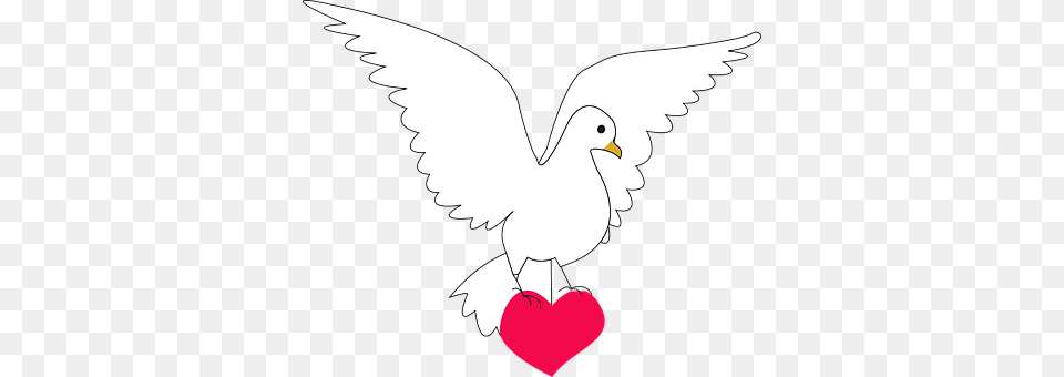 Dove Baby, Person Free Png