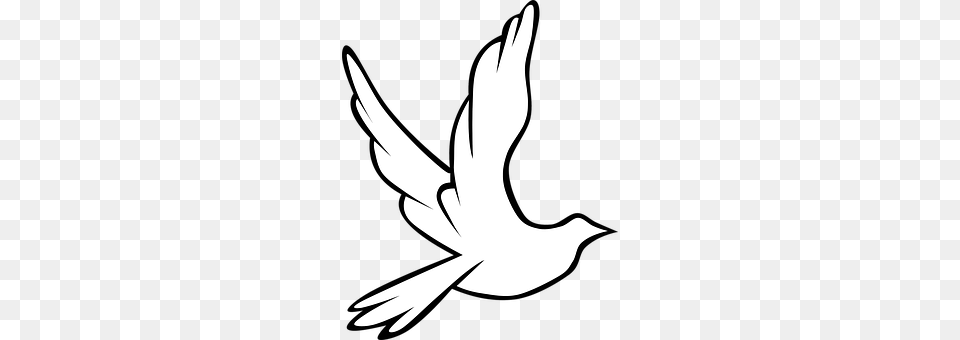 Dove Animal, Bird, Flying, Stencil Png Image