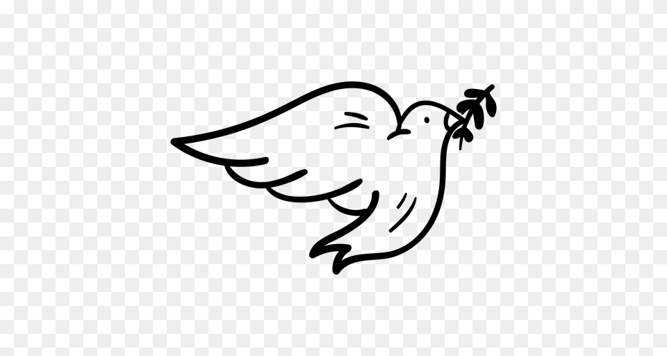 Dove And Olive Branch Doodle, Gray Free Png
