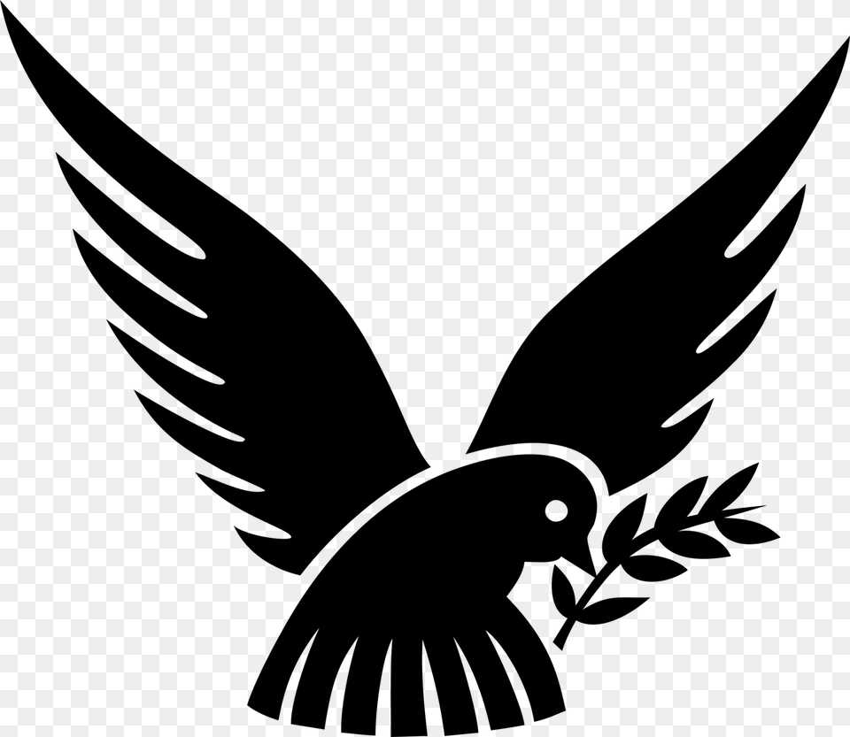 Dove And Olive Branch Dove Bird Black And White, Gray Free Transparent Png