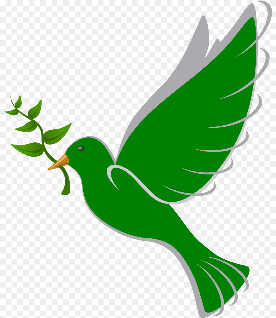 Dove Batak Christian Protestant Church, Green, Leaf, Plant, Animal Png Image