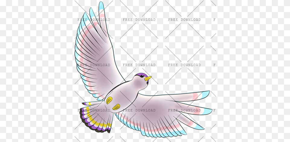 Dove Bird Image With Background Photo, Animal, Jay, Pigeon, Flying Free Transparent Png