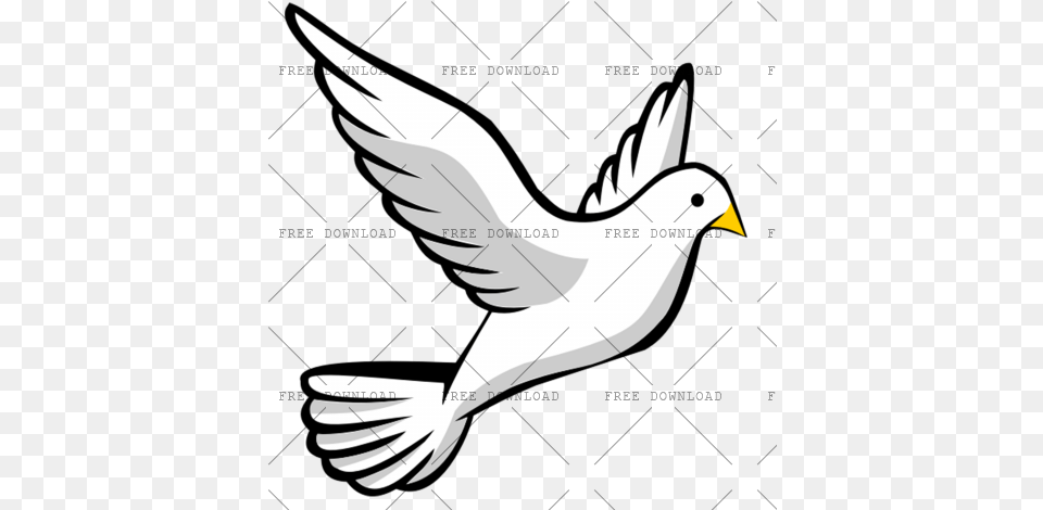 Dove Bird Image With Transparent Flying Bird Cartoon Drawing, Animal, Pigeon, Fish, Sea Life Free Png