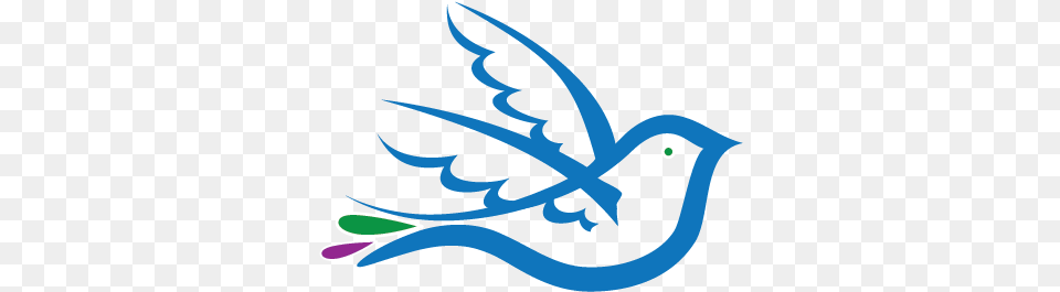 Dove Bird Logo Template Bird, Animal, Fish, Sea Life, Shark Png