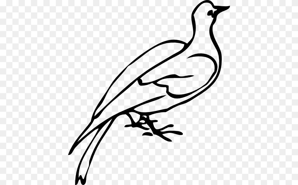 Dove Clip Art Vector, Stencil, Animal, Bird, Magpie Free Transparent Png