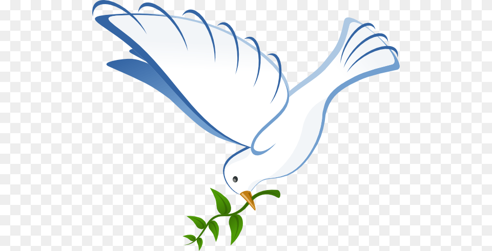 Dove Clip Art White Dove, Animal, Bird, Pigeon, Dynamite Free Transparent Png
