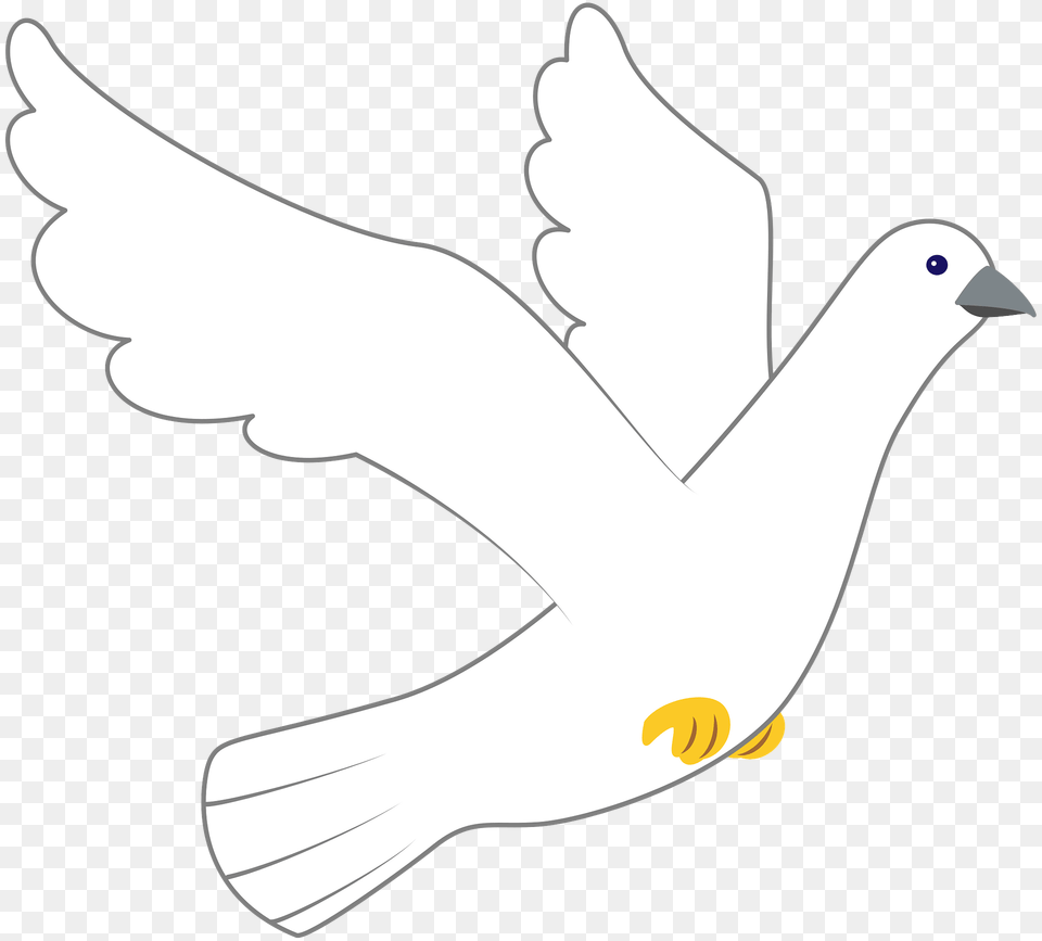 Dove Clipart, Animal, Bird, Pigeon, Fish Free Png