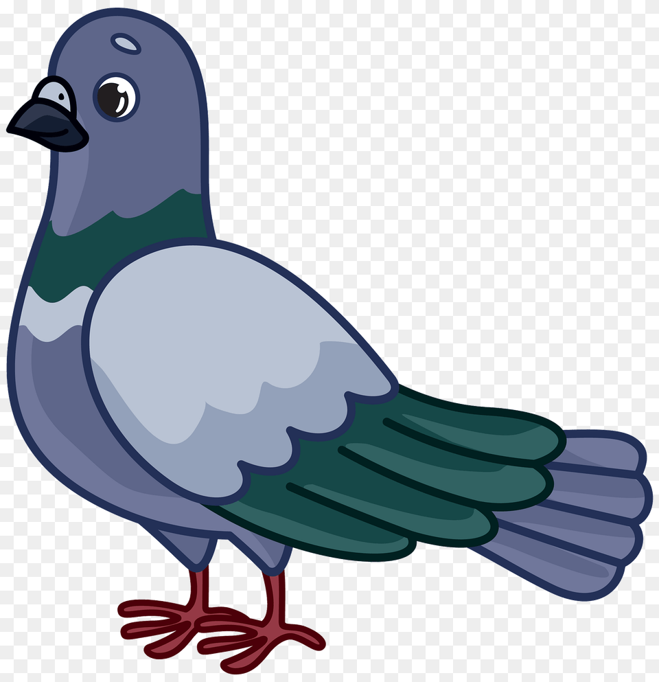 Dove Clipart, Animal, Bird, Pigeon, Fish Png Image