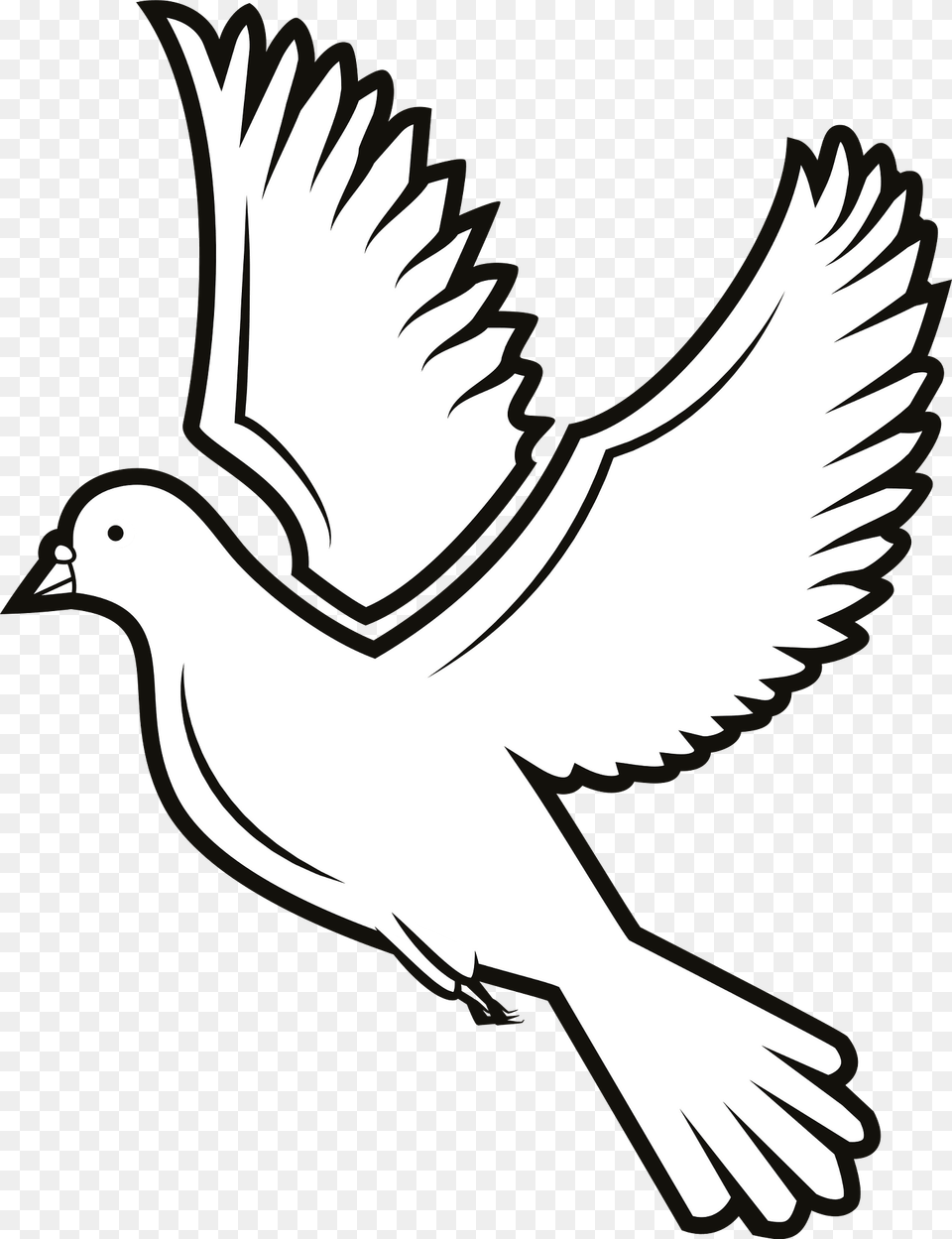 Dove Clipart, Animal, Bird, Pigeon Free Png