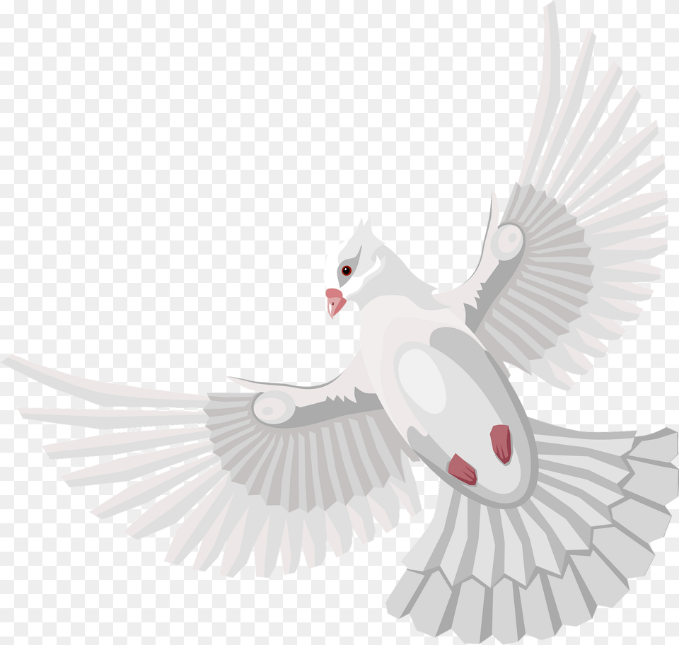 Dove Clipart, Animal, Bird, Pigeon Png