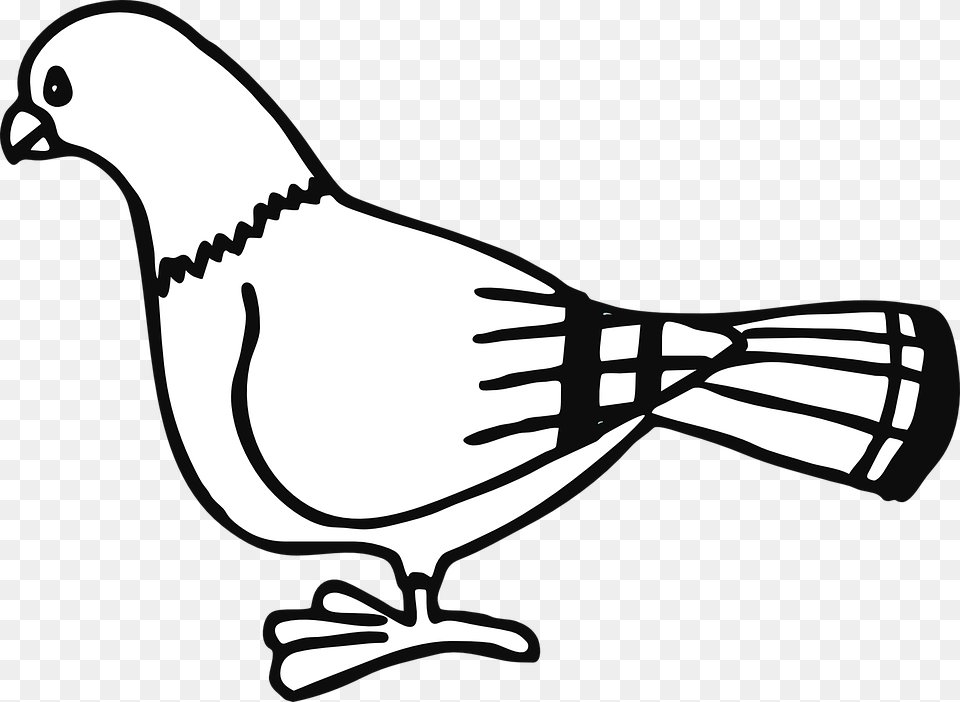 Dove Clipart Black And White, Stencil, Animal, Bird, Fish Free Png