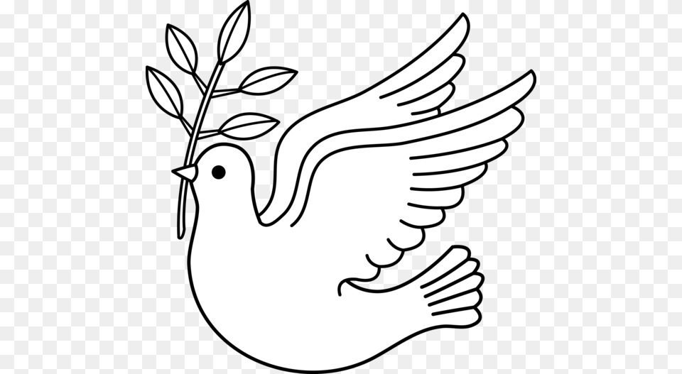 Dove Clipart Black And White, Stencil, Animal, Bird, Pigeon Free Png