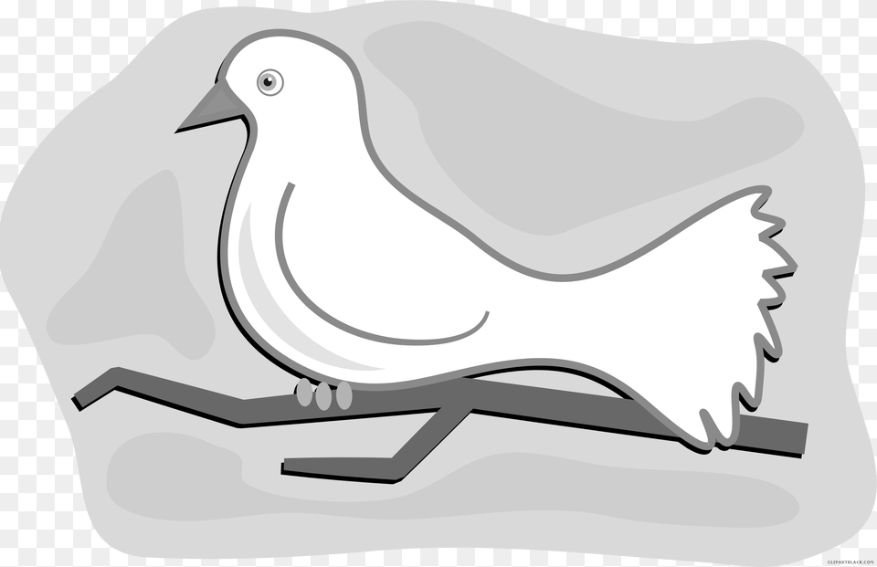 Dove Clipart Black And White Dove Clipart, Animal, Bird, Pigeon Free Png