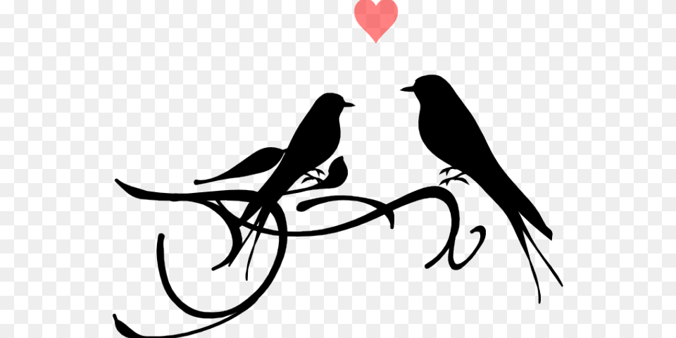 Dove Clipart Black And White Love Birds Black And White, Animal, Bird, Blackbird Free Png Download