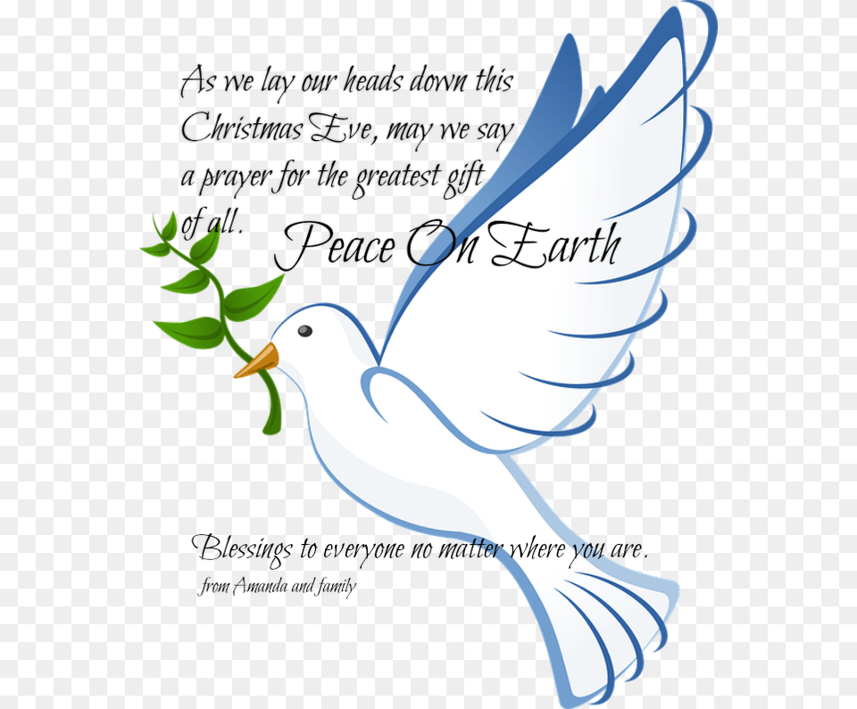 Dove Clipart Christmas Peace Batak Christian Protestant Church, Animal, Bird, Pigeon, Person Free Png Download