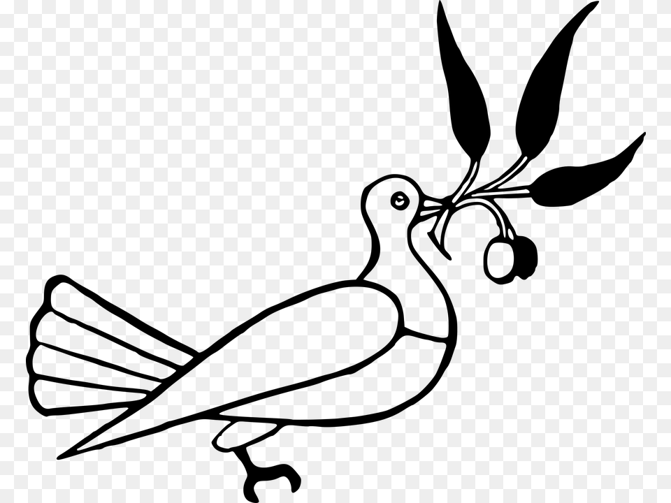 Dove Clipart Clip Art Olive Branch Black And White Cartoon, Gray Png