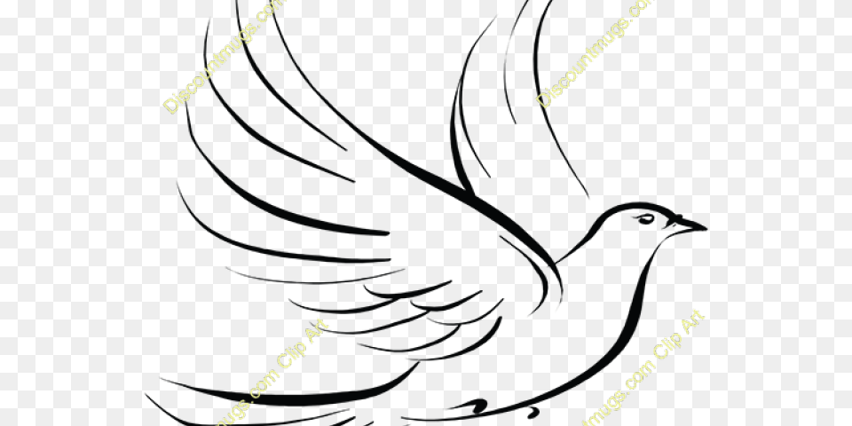 Dove Clipart Feather, Animal, Bird, Blackbird Png