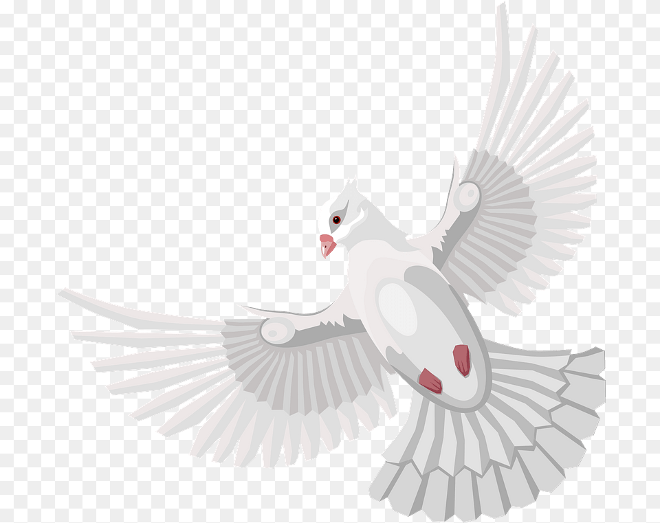 Dove Clipart Download Creazilla Lovely, Animal, Bird, Pigeon Free Transparent Png