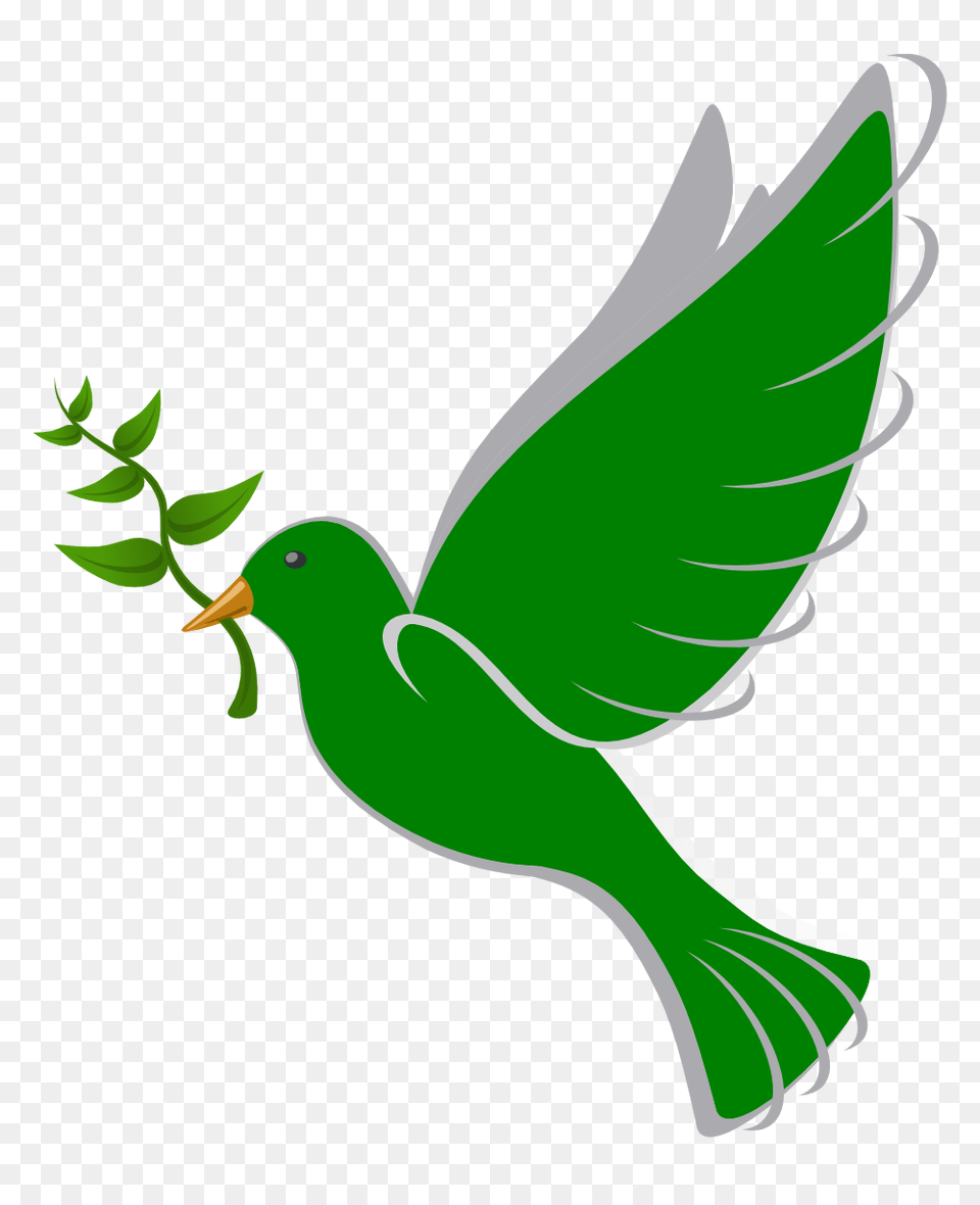 Dove Clipart Peace Dove, Plant, Green, Leaf, Animal Png Image