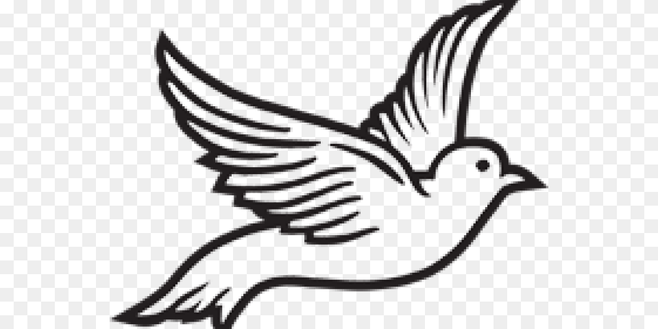 Dove Clipart Roman Catholic Dove Clipart Black And White, Animal, Bird, Blackbird, Quail Free Png Download