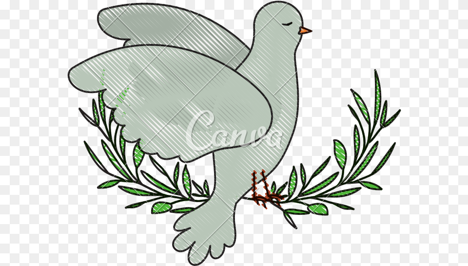 Dove Clipart Side View Palomas A Lapiz, Animal, Bird, Pigeon Free Png Download