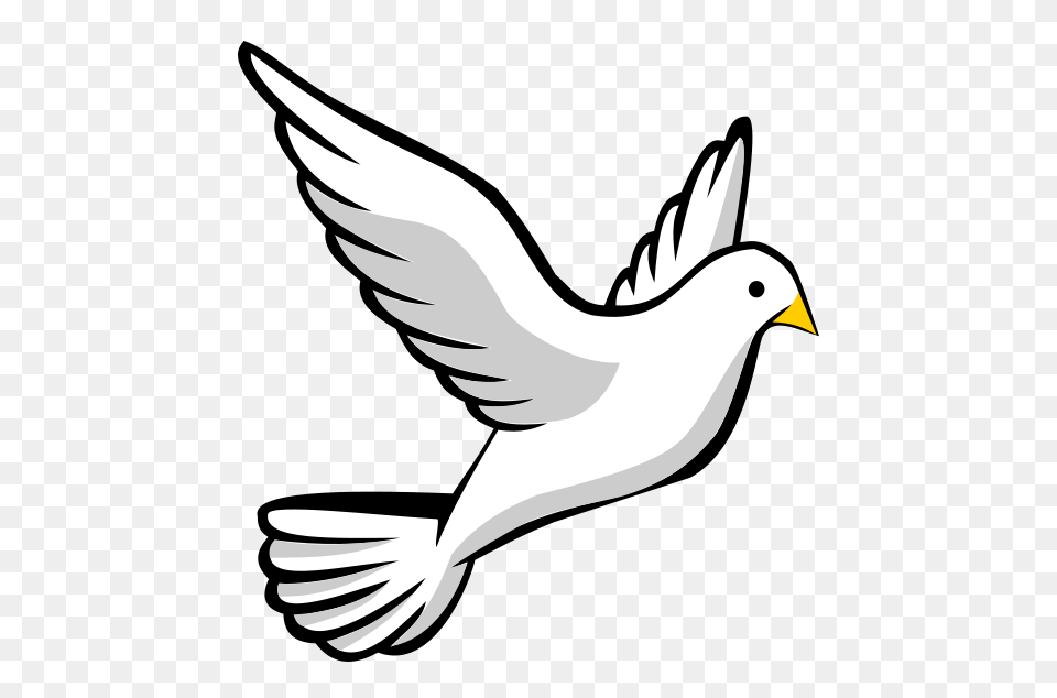 Dove Clipart Transparent No Background, Animal, Bird, Finch, Pigeon Free Png