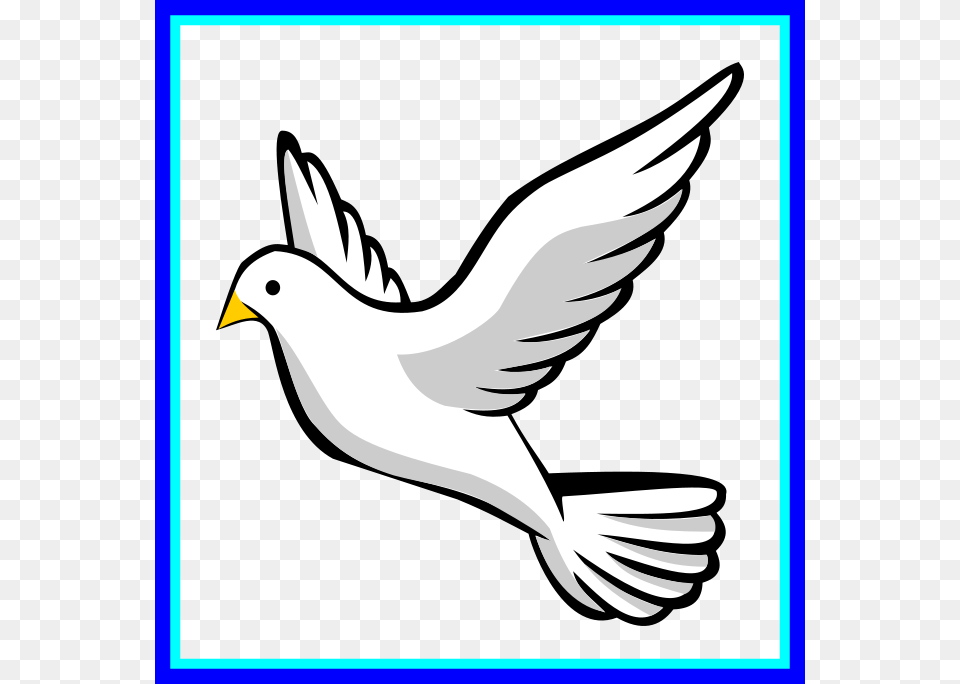 Dove Confirmation Clipart Dove Clipart School Clipart Dove, Animal, Bird, Pigeon Free Png