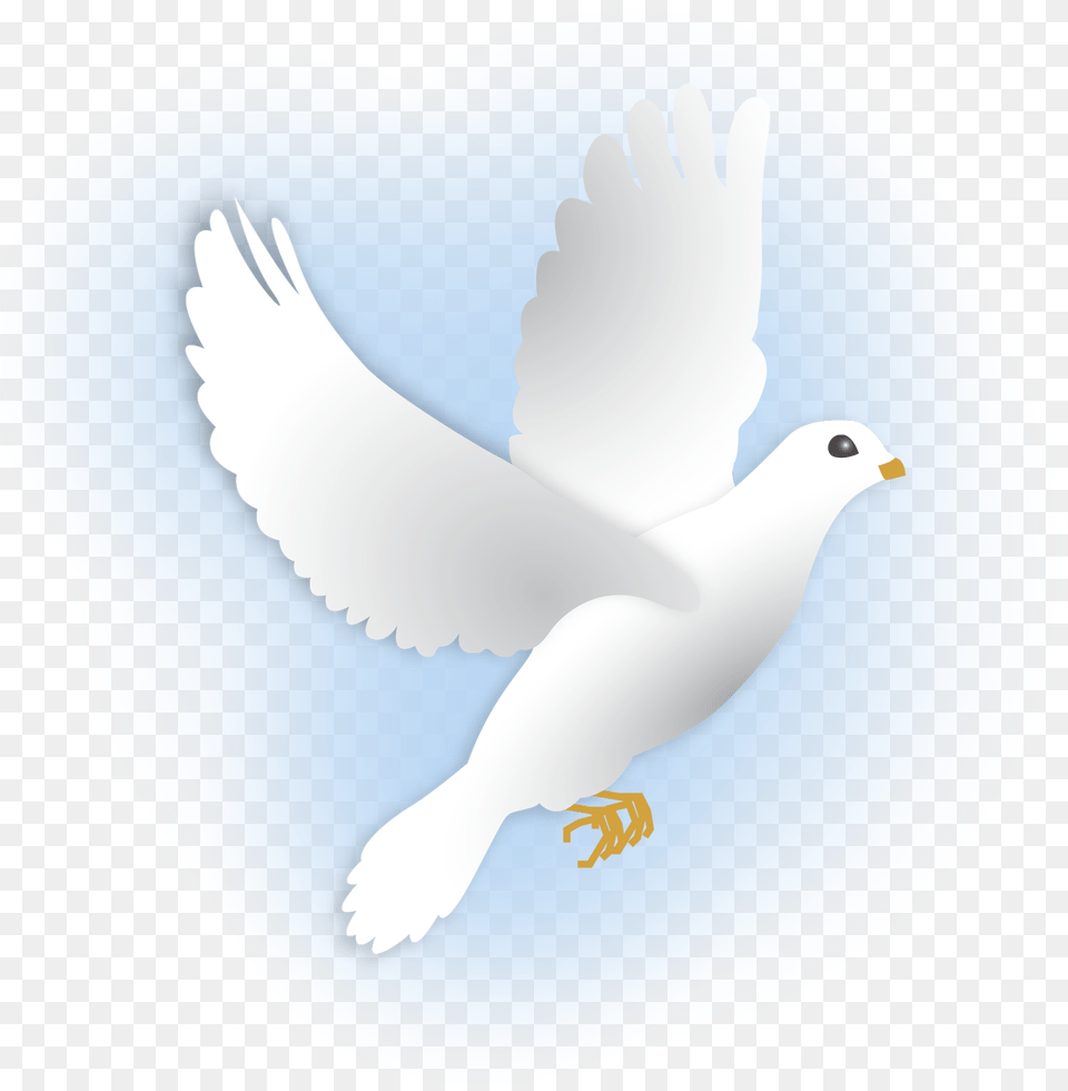 Dove Dove Flying, Animal, Bird, Pigeon, Plate Free Transparent Png