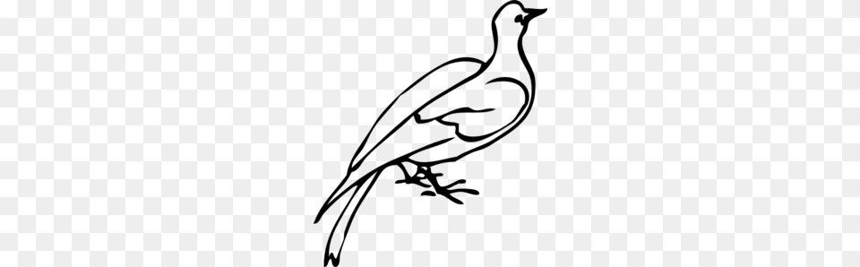 Dove Drawing Clip Art, Gray Free Transparent Png