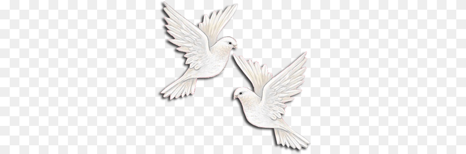 Dove Flying Away Two Doves And A Heart, Animal, Bird, Pigeon Png
