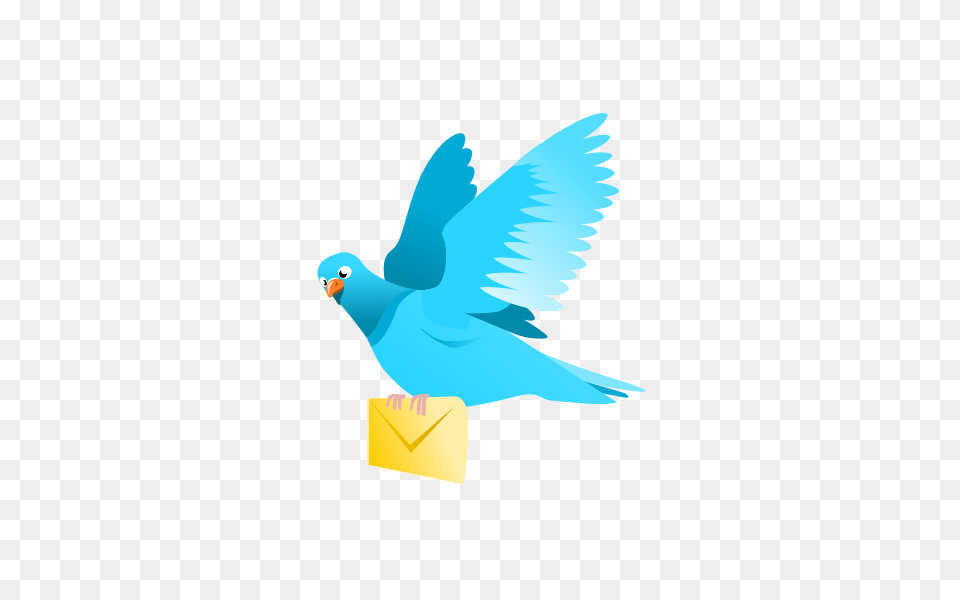 Dove Flying Clip Arts Download, Animal, Bird, Parakeet, Parrot Free Transparent Png