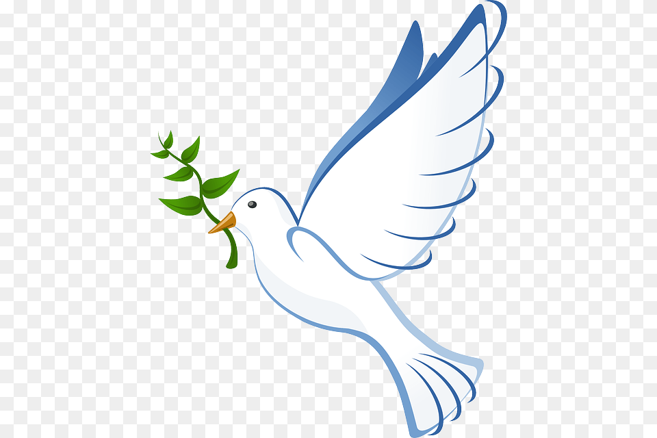 Dove Flying Peace Olive Branch Symbol Pigeon Paloma De La Paz, Animal, Bird, Smoke Pipe Free Png Download