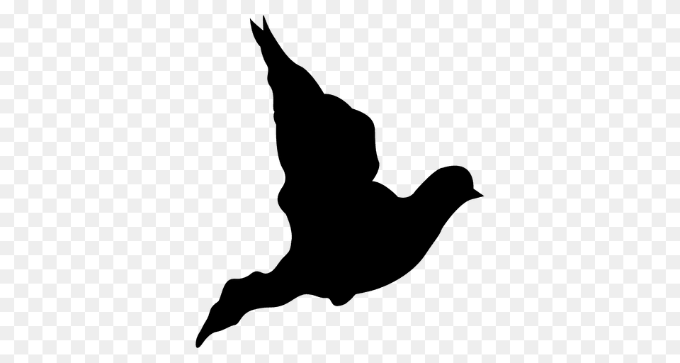 Dove Flying Sequence, Silhouette, Animal, Bird Free Png