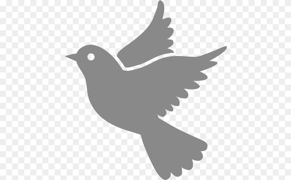 Dove Icon Image Flying Love Birds Drawing, Animal, Bird, Pigeon, Baby Free Png