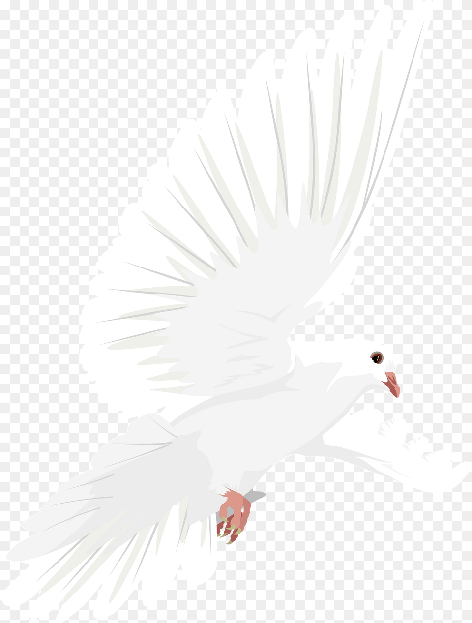 Dove In Flight Clipart, Animal, Bird, Pigeon Free Transparent Png