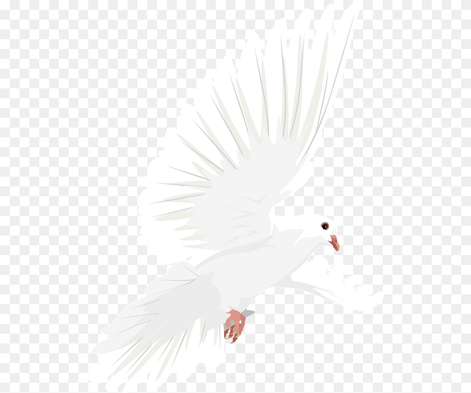 Dove In Flight Clipart Free Download Transparent White Birds, Animal, Bird, Pigeon Png Image