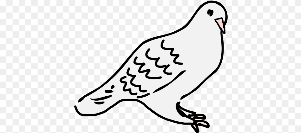 Dove Is Sitting Sitting Dove Clipart Black And White, Animal, Bird, Pigeon, Fish Free Transparent Png